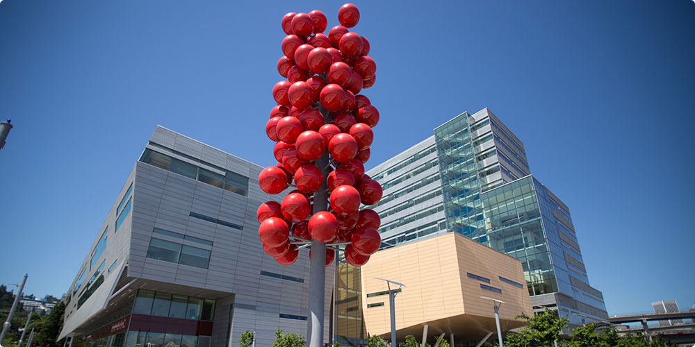 The Robertson building on a beautiful day
