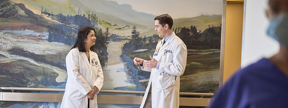 Dr. Vijayshree Yadav, a professor of neurology, and Dr. James Clements, an associate professor of medicine, talk in front an Oregon landscape mural in the OHSU Vista Pavilion on Marquam Hil in Portland, Oregon.