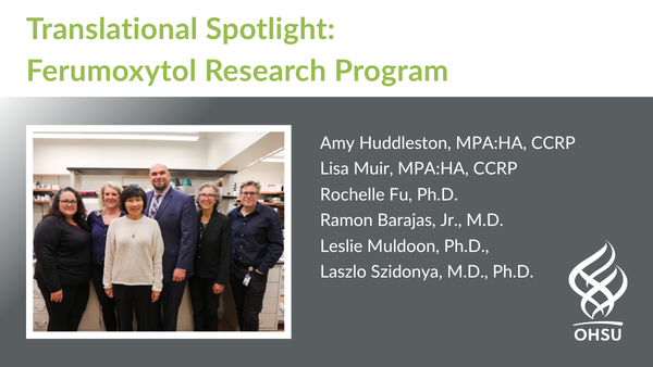 Translational Spotlight: Ferumoxytol Research Program