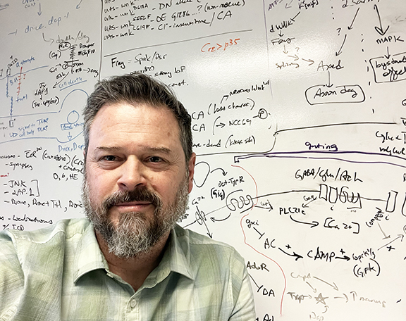 Dr Marc Freeman, director and senior scientist of the Vollum Institute