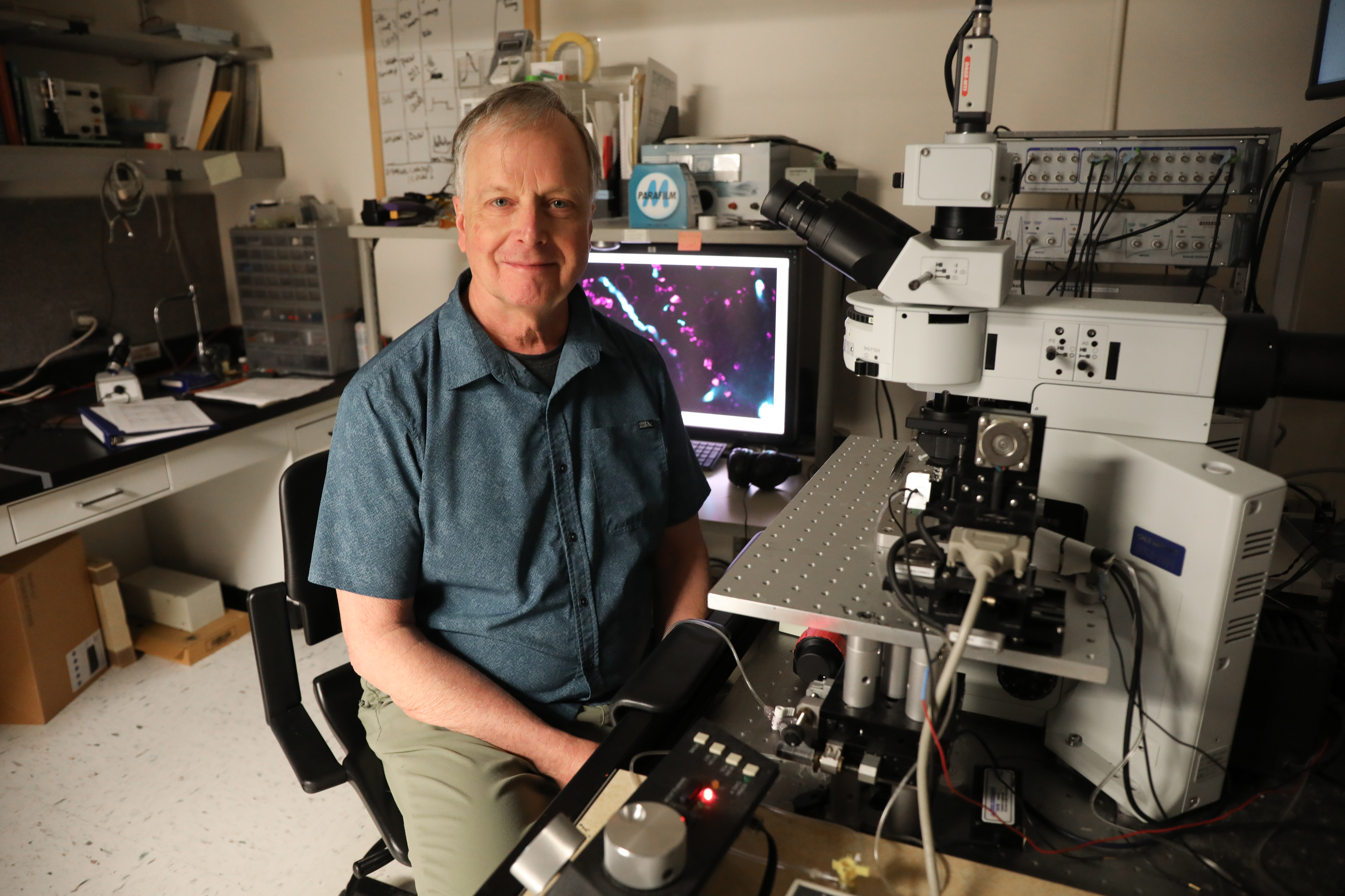 Vollum neuroscientist, Dr Laurence Trussell, collaborated on a discovery linking serotonin to the neurological condition known as tinnitus. 
