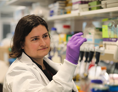 OHSU gastroenterologist Molly Thomas, M.D., Ph.D., examines cell samples in a laboratory at OHSU.