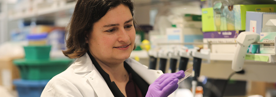 OHSU researcher Molly Thomas, M.D., Ph.D., looks at cell samples in her laboratory at OHSU.