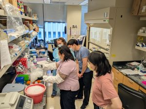 Hinds Lab PCR training
