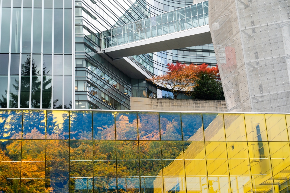 Exterior photo of the Elks Children's Eye Clinic dichroic glass with the Kohler Pavilion on the background.