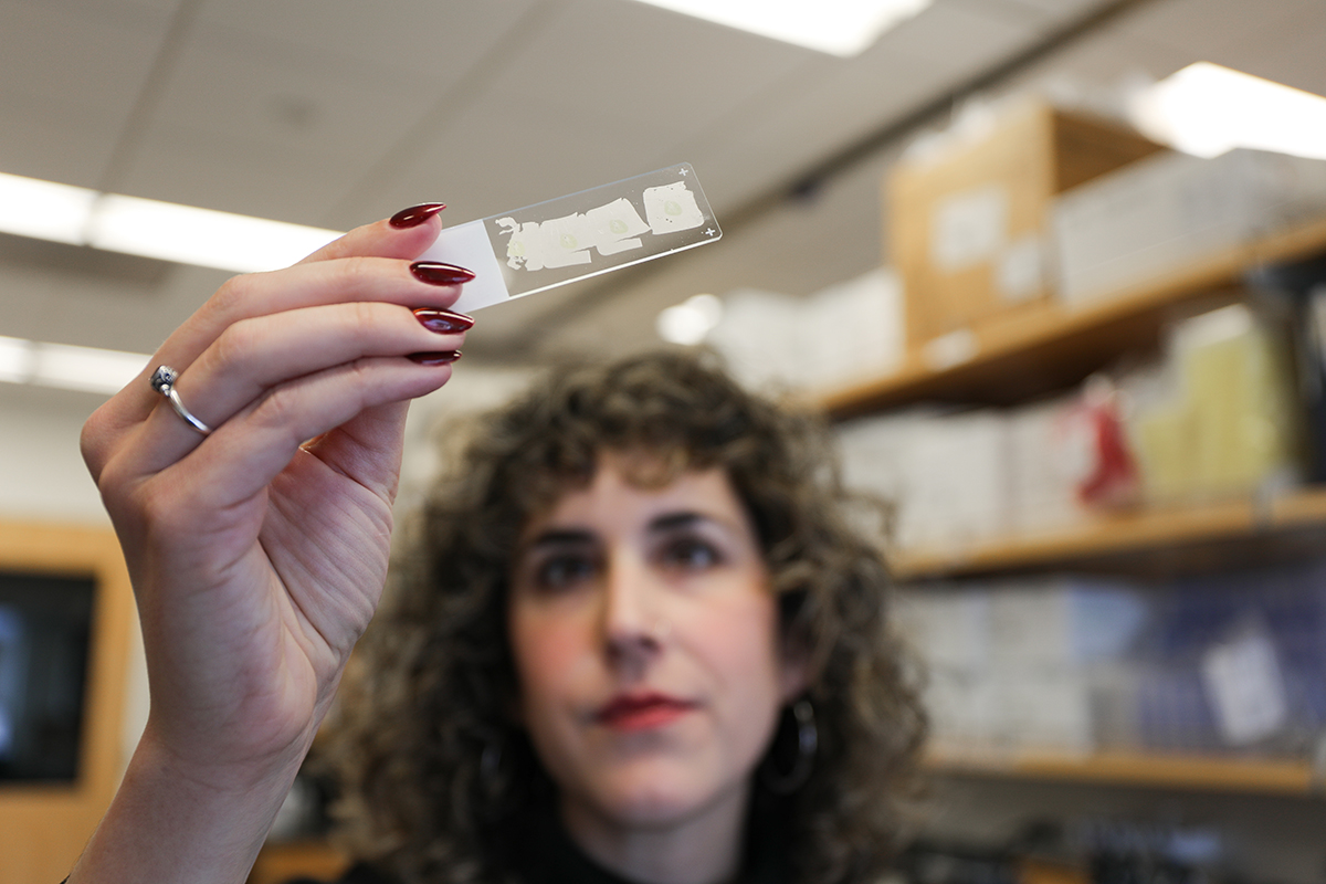 Rose Hill, Ph.D., studies sensory nerves within the kidneys at OHSU. Her new study identified a protein that acts as a pressure sensor in the kidneys, which helps the body control fluids and blood pressure. (OHSU/Christine Torres Hicks)