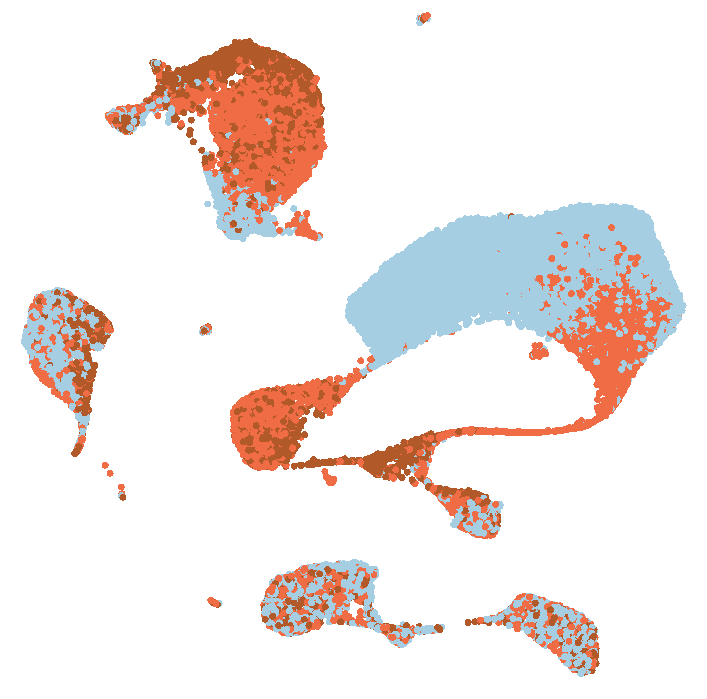 sc1umap1