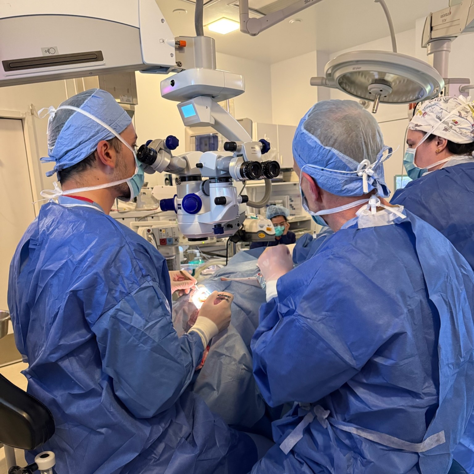 Two doctors look through a microscope while doing eye surgery.