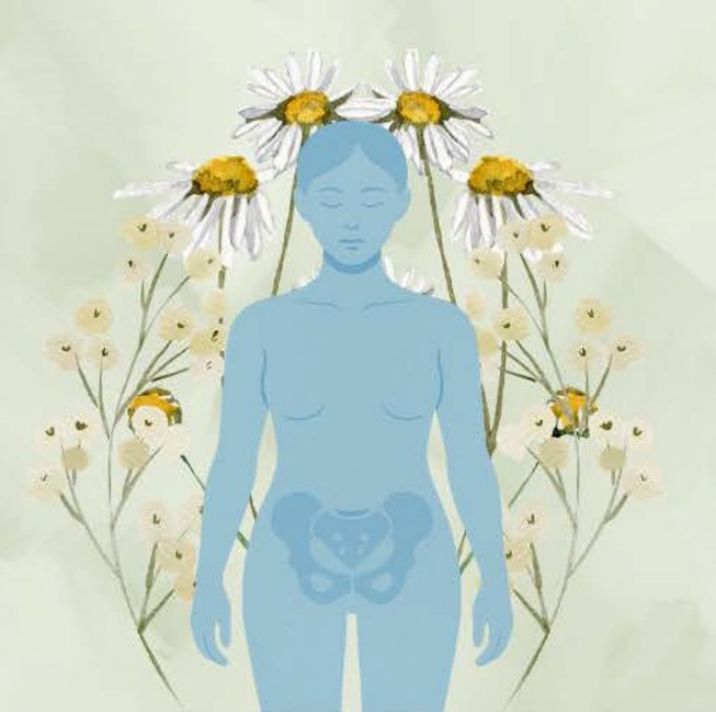 An artistic rendition of a pastel blue-colored person surrounded by wildflowers with an overlayed depiction of a darker blue anatomical pelvis in the abdominal area.
