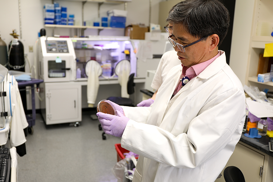 A OHSU researcher looks at a petri dish in a lab.