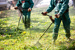 Two landscape workers in green uniforms use string trimmers to cut grass, with clippings visible in the air.
