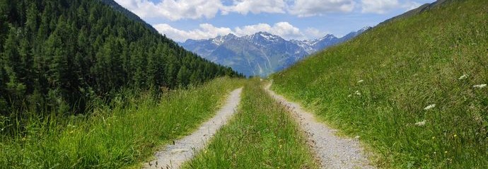 A beautiful unpaved double dirt path through green hillsides leading to snow-capped mountains in the distance.