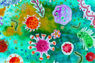 A watercolor-style portrayal of microscopic biological specimens.