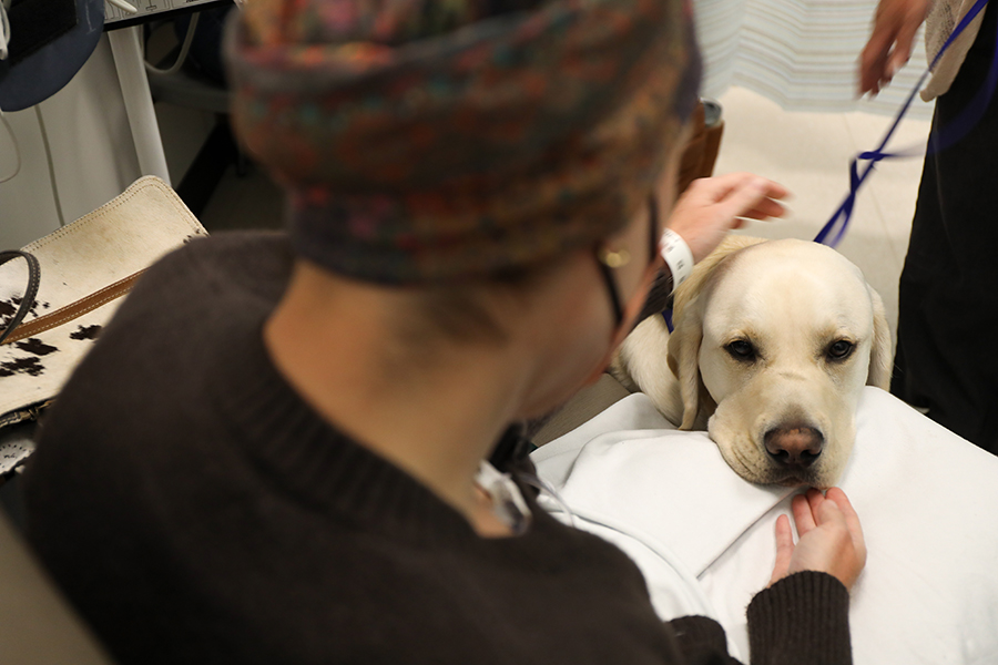 A dog lays his head on a patient’s lap.