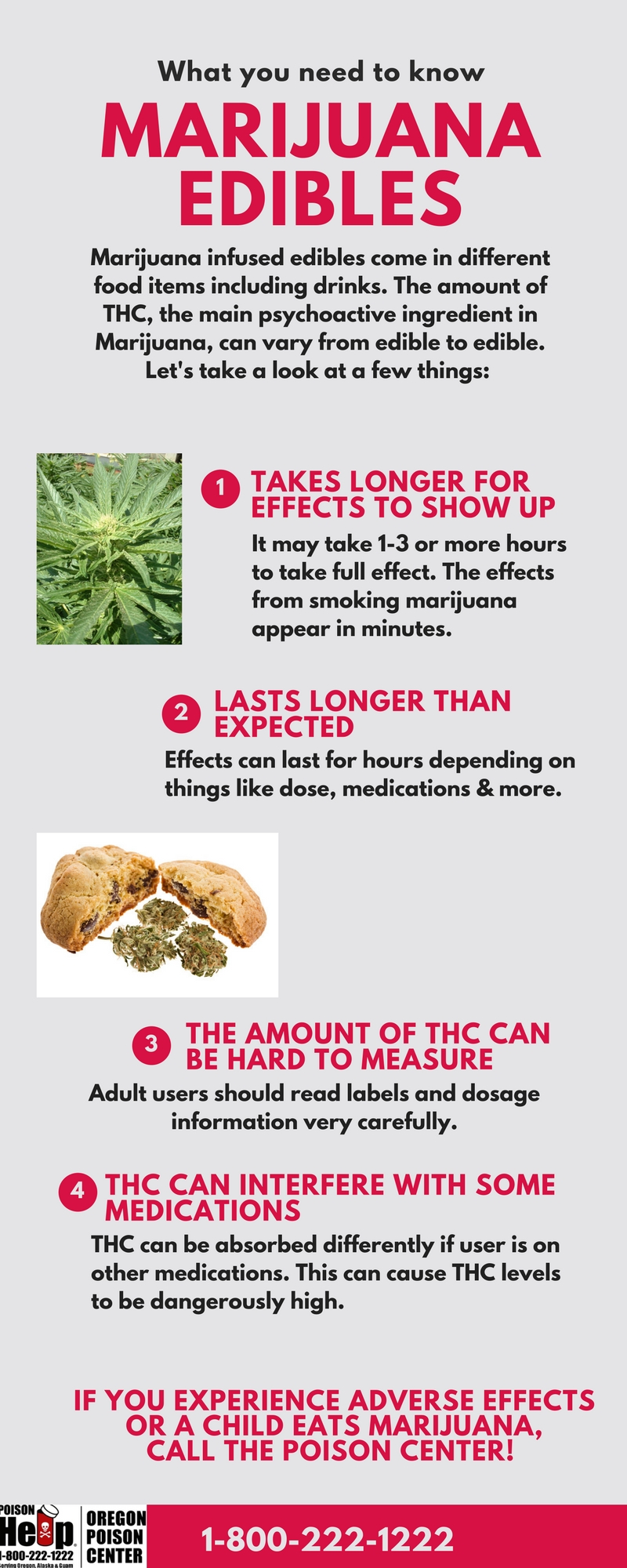 This infographic lists potential hazards of eating marijuana edibles, based on the difficulty of appropriately dosing the THC.