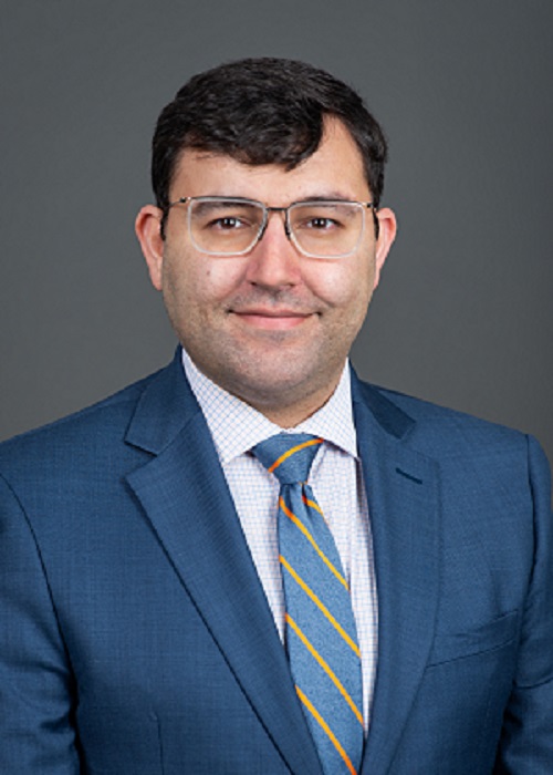 Headshot photo of Sepehr  Tehrani, M.D.