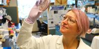 A research holds up a Petri dish to examine a sample.